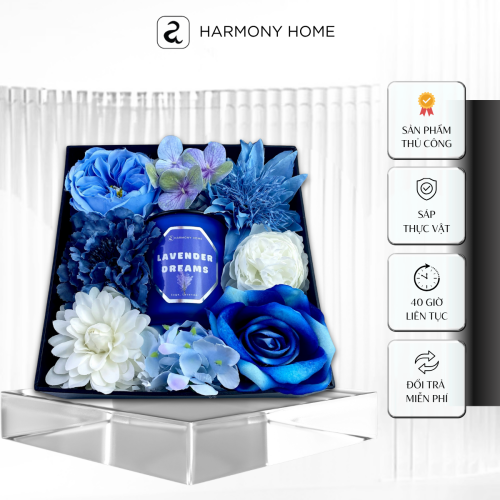 Bộ Quà Tặng Nến Thơm Lavender Dreams [A] Harmony Home: Hương Nhập Khẩu150g, sáp tự nhiên