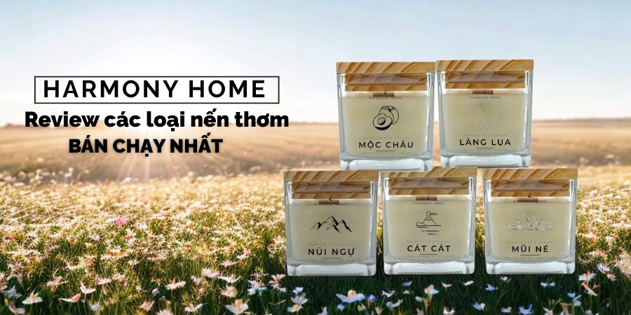 00-review-cac-loai-nen-thom